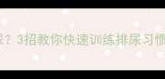 哈士奇幼犬频繁尿尿3招教你快速训练排尿习惯新手家长必看