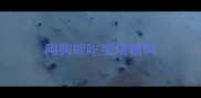 狗狗能吃宝塔糖吗