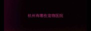 杭州有哪些宠物医院
