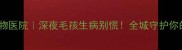 杭州24小时宠物医院深夜毛孩生病别慌全城守护你的毛孩子健康
