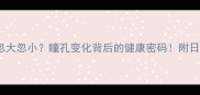 猫咪眼球忽大忽小瞳孔变化背后的健康密码附日常养护指南