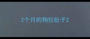 2个月的狗拉肚子