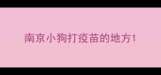 南京小狗打疫苗的地方