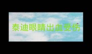 泰迪眼睛出血受伤