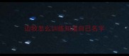 边牧怎么训练知道自己名字