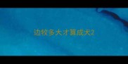 边牧多大才算成犬