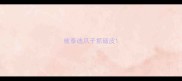 被泰迪爪子抓破皮