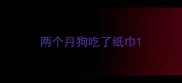 两个月狗吃了纸巾