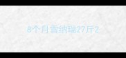 8个月雪纳瑞27斤