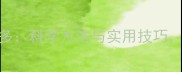 幼犬训练拉布拉多科学方法与实用技巧0-6月龄全攻略