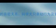 金毛犬与儿童的亲密关系科学犬只亲幼行为及安全育儿指南