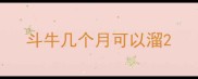 斗牛几个月可以溜