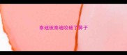 泰迪被泰迪咬破了鼻子