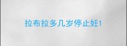 拉布拉多几岁停止妊