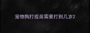 宠物狗打疫苗需要打到几岁