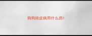 狗狗脓皮病用什么药