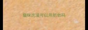 猫咪洗澡可以用肥皂吗