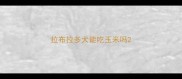 拉布拉多犬能吃玉米吗