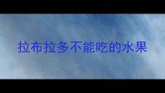 拉布拉多不能吃的水果