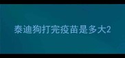 泰迪狗打完疫苗是多大