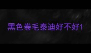 黑色卷毛泰迪好不好