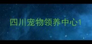 四川宠物领养中心