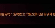 狗狗洗澡后两天可以打疫苗吗宠物医生详解洗澡与疫苗接种的间隔时间及注意事项