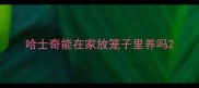 哈士奇能在家放笼子里养吗