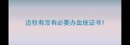 边牧有没有必要办血统证书