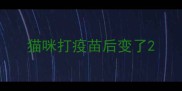 猫咪打疫苗后变了