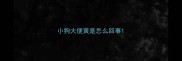 小狗大便黄是怎么回事