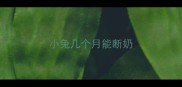 小兔几个月能断奶