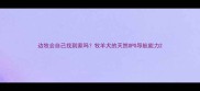 边牧会自己找到家吗牧羊犬的天然GPS导航能力