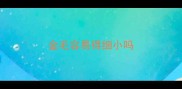金毛容易得细小吗
