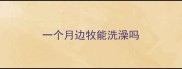 一个月边牧能洗澡吗