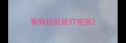 狗狗拉肚能打疫苗