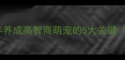边牧饲养全攻略半年养成高智商萌宠的5大关键附训练护理避坑指南