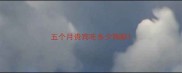 五个月贵宾吃多少狗粮