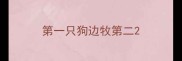 第一只狗边牧第二
