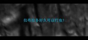 拉布拉多好久可以打虫