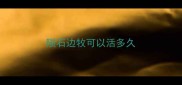 陨石边牧可以活多久