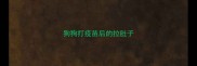 狗狗打疫苗后的拉肚子