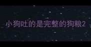 小狗吐的是完整的狗粮