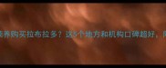 甘肃哪里领养购买拉布拉多这5个地方和机构口碑超好附领养攻略