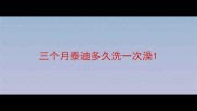 三个月泰迪多久洗一次澡