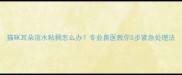 猫咪耳朵流水粘稠怎么办专业兽医教你5步紧急处理法
