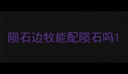 陨石边牧能配陨石吗