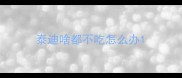 泰迪啥都不吃怎么办