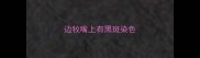 边牧嘴上有黑斑染色