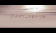 没被咬可以打狂犬疫苗